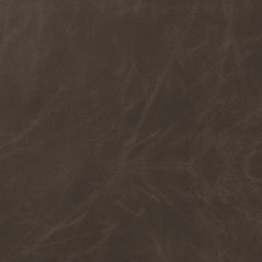 Michelle Upholstered Bar Chair Brown (Set of 2)