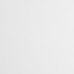 Juniper Polypropylene Dining Side Chair White (Set of 2)