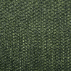 Paxton Upholstered Dining Side Chair Green (Set of 2)
