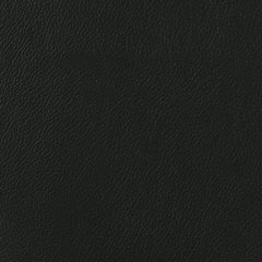 Redbridge Upholstered Dining Side Chair Walnut (Set of 2)