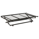 Best Furniture Outlet - Coaster - Eden Metal Twin Pop Up Trundle Bed Black - 1137
