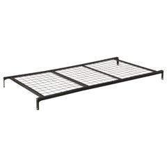 Best Furniture Outlet - Coaster - Pippa Metal Twin Link Spring Black - 1138A