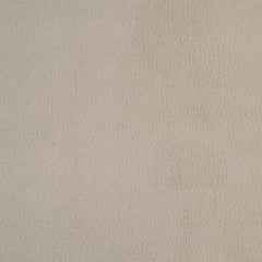 Alana Velvet Upholstered Dining Side Chair Sand (Set of 2)