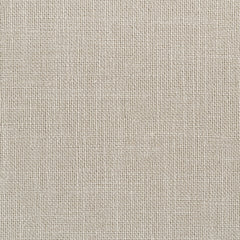 Alana Fabric Upholstered Dining Side Chair Beige (Set of 2)