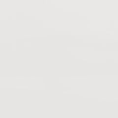 Felicity Wood Queen Panel Bed White High Gloss