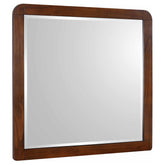 Best Furniture Outlet - Coaster - Robyn Dresser Mirror Dark Walnut - 205134