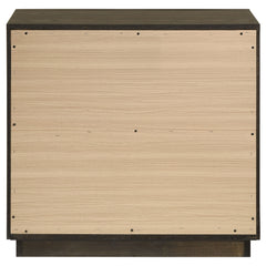 Atlas 2-drawer Bedroom Nightstand Bedside Table Dark Oak