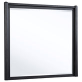 Best Furniture Outlet - Coaster - Leandro Dresser Mirror Burnished Black - 222494