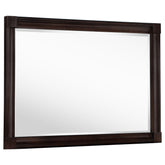 Best Furniture Outlet - Coaster - Andover Dresser Mirror Dark Oak - 223634