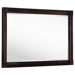 Best Furniture Outlet - Coaster - Andover Dresser Mirror Dark Oak - 223634