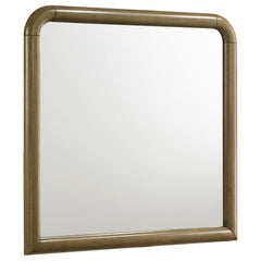 Best Furniture Outlet - Coaster - Amsbury Dresser Mirror Nutmeg - 224274