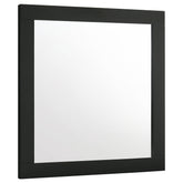 Best Furniture Outlet - Coaster - Caraway Dresser Mirror Black - 224784