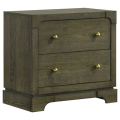 Best Furniture Outlet - Coaster - Gran Park 2-drawer Nightstand Bedside Table Dark Cocoa - 224932