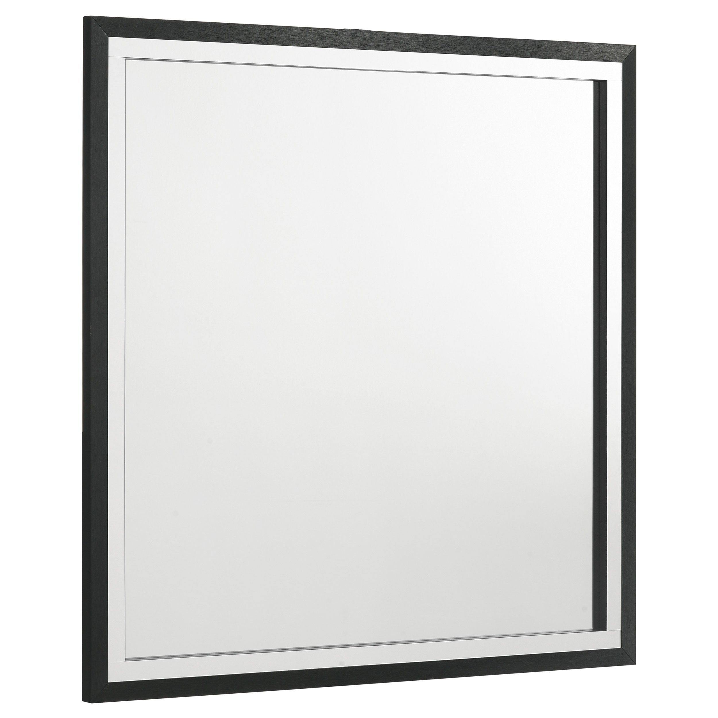 Best Furniture Outlet - Coaster - Lucia Dresser Mirror Black - 224994