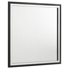 Best Furniture Outlet - Coaster - Lucia Dresser Mirror Black - 224994