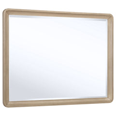 Best Furniture Outlet - Coaster - Ladera Dresser Mirror Light Elm - 225084