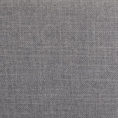 Camille Upholstered Queen Panel Bed Grey