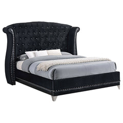 Best Furniture Outlet - Coaster - Barzini Upholstered Eastern King Wingback Bed Black - 300643KE