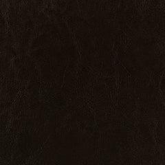 Dorian Faux Leather Upholstered Queen Panel Bed Brown