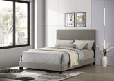 Best Furniture Outlet - Coaster - Dorian Fabric Upholstered Full Panel Bed Taupe - 300851F
