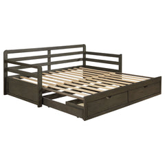 Best Furniture Outlet - Coaster - Sorrento 2-drawer Twin XL Daybed with Extension Trundle Grey - 305706