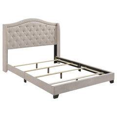 Best Furniture Outlet - Coaster - Sonoma Upholstered Queen Wingback Bed Beige - 310073Q