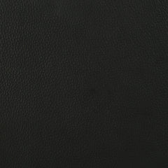 Medley Genuine Leather Queen Panel Platform Bed Black