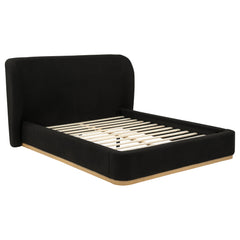 Best Furniture Outlet - Coaster - Blaire Upholstered Queen Wingback Platform Bed Black - 315967BLKQ