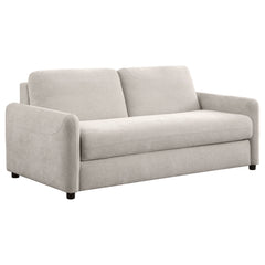 Best Furniture Outlet - Coaster - Rylie Upholstered Sofa Sleeper with Queen Mattress Beige - 360027
