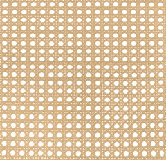 Lanewood Open Cane Webbing Metal Eastern King Bed White