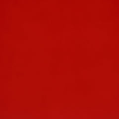 Cruiser Wood Twin LED Race Car Bed Red