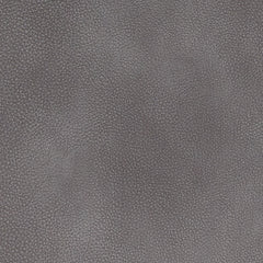 Next-Gen Durapella Living Room