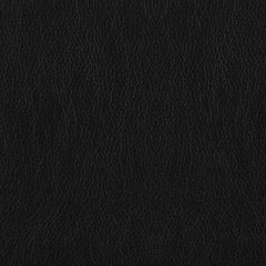 Finley Upholstered Padded Arm Tufted Loveseat Black