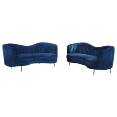 Sophia 2-piece Upholstered Channel Tufted Sofa Set Blue