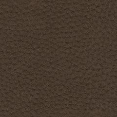 Next-Gen Gaucho Living Room