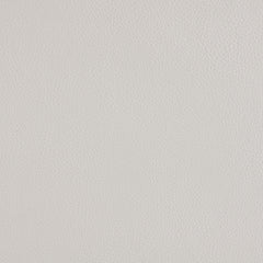 Sanger Upholstered Power Lift Massage Recliner Champagne