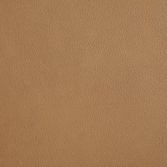 Armstrong Upholstered Power Lift Massage Recliner Camel