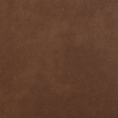Greenfield Upholstered Power Recliner Chair Saddle Brown