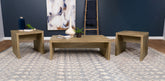 Best Furniture Outlet - Coaster - Lynette 3-piece Rectangular Coffee and End Table Set Mango - 704128-S3