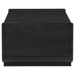 Leandro 2-drawer Wood Cocktail Coffee Table Burnished Black