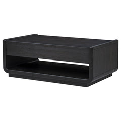 Leandro 2-drawer Wood Cocktail Coffee Table Burnished Black