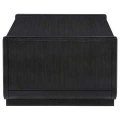 Leandro 2-drawer Wood Cocktail Coffee Table Burnished Black