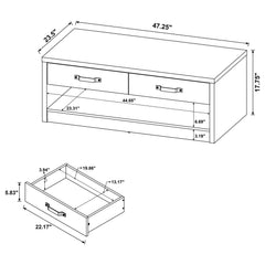 Felix 2-drawer Engineered Wood Coffee Table Grey Driftwood