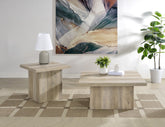 Best Furniture Outlet - Coaster - Devar 2-piece Square Coffee End Table Set Distressed Pine - 710878-S2