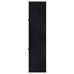 Denison 67-inch 2-door Media Tower Storage Cabinet Black
