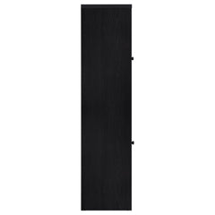 Denison 67-inch 2-door Media Tower Storage Cabinet Black