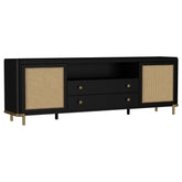 Best Furniture Outlet - Coaster - Arini Rattan Cane 2-door TV Stand Media Console Black - 720263