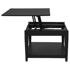 Lindenton 2-piece Wood Lift-Top Coffee and End Table Set Black