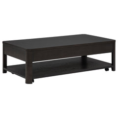 Marcelo 2-piece Coffee Table Set with Storage Coffee