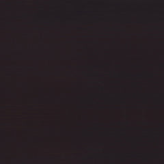 Tracy 55-inch 2-drawer Office Computer Desk Cappuccino